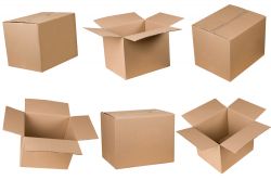 W2 Removal Boxes W1