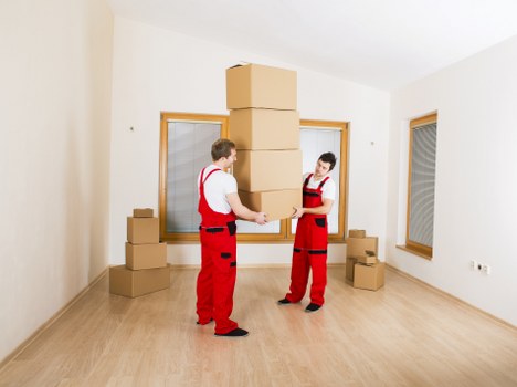 Reliable man with van Paddington team providing practical relocation support